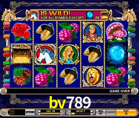 Descubra o Mundo do Cassino Online com bv789